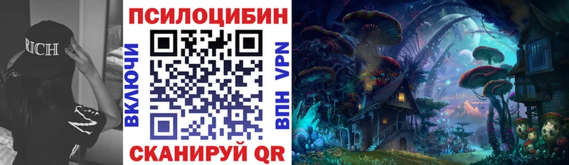 Псилоцибиновые грибы Cubensis Сурск