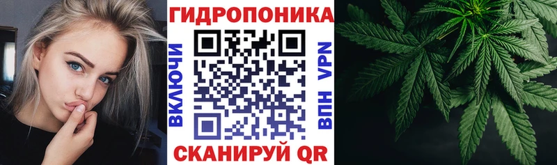 МАРИХУАНА конопля  Сурск 